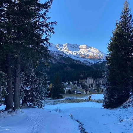 Waterfall House Dom wakacyjny